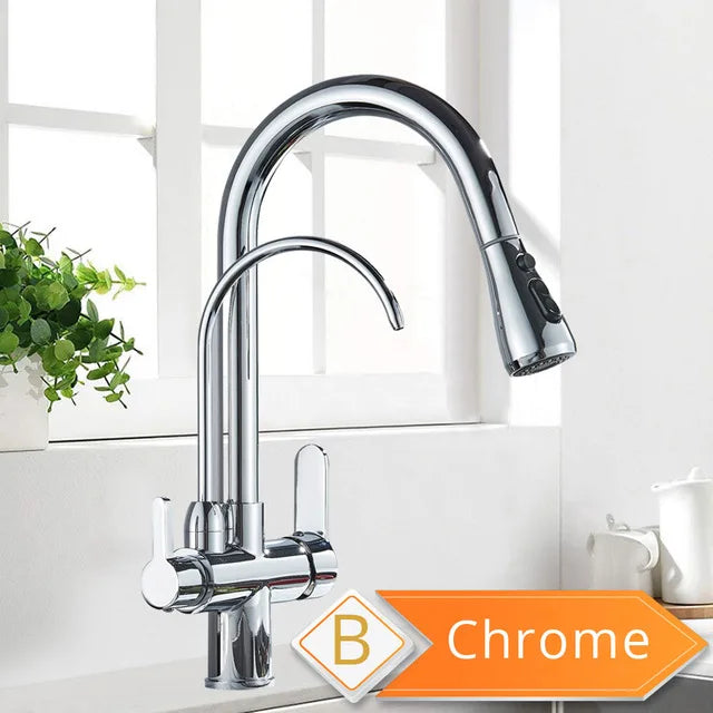 Water Purification Kitchen Faucet with Pull Out Sprayer - Black