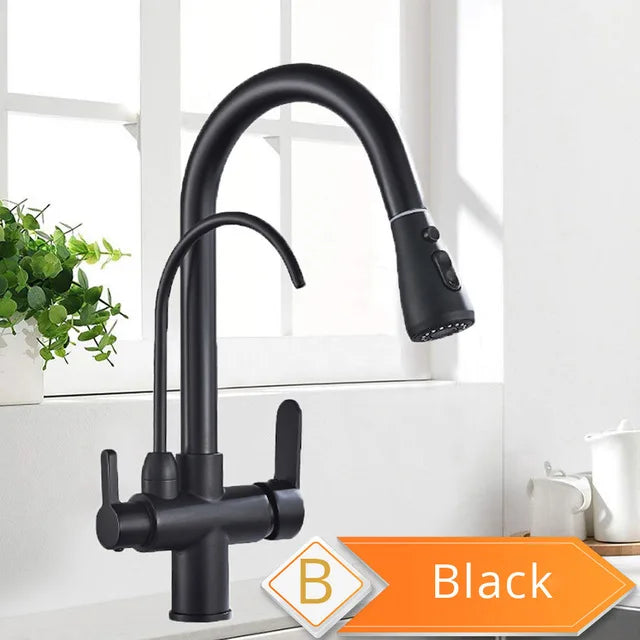 Water Purification Kitchen Faucet with Pull Out Sprayer - Black