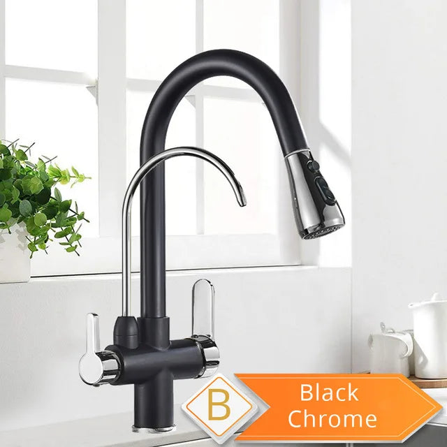 Water Purification Kitchen Faucet with Pull Out Sprayer - Black