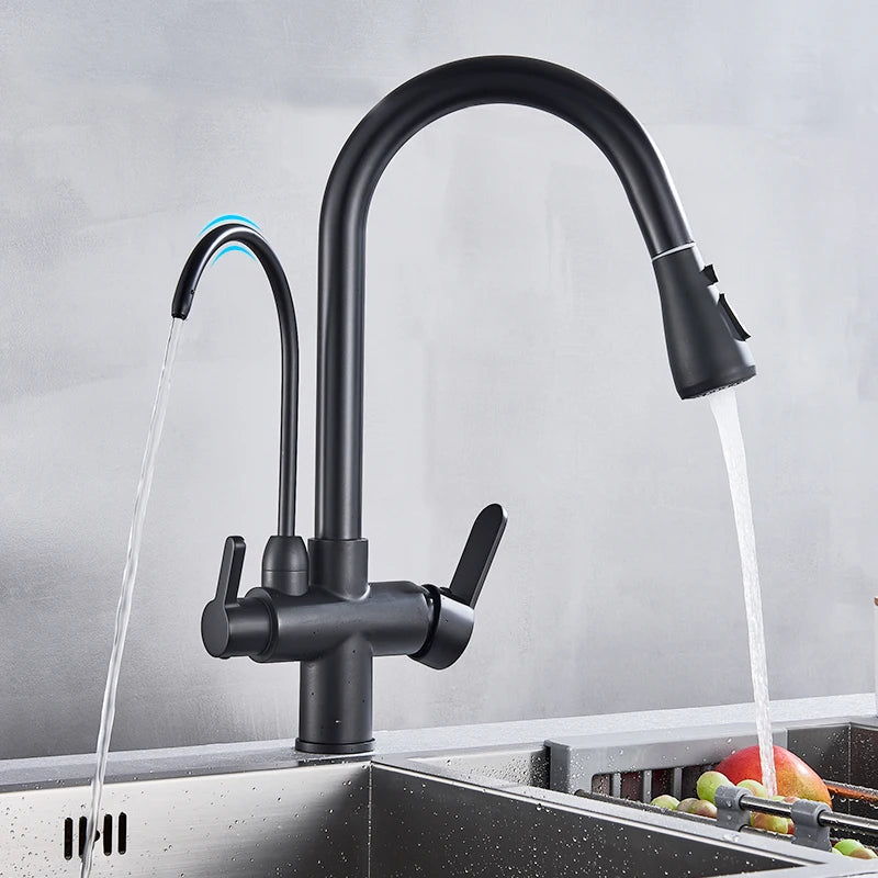 Water Purification Kitchen Faucet with Pull Out Sprayer - Black