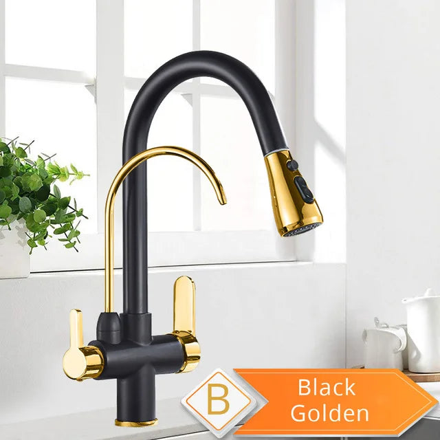Water Purification Kitchen Faucet with Pull Out Sprayer - Black