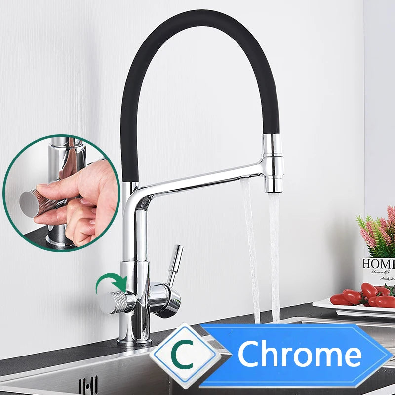 Water Purification Kitchen Faucet with Pull Out Sprayer - Black