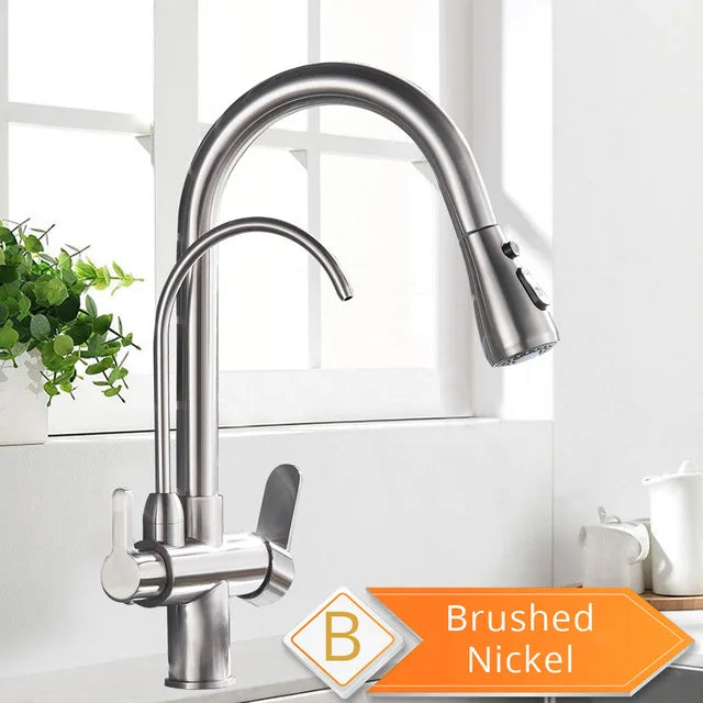 Water Purification Kitchen Faucet with Pull Out Sprayer - Black