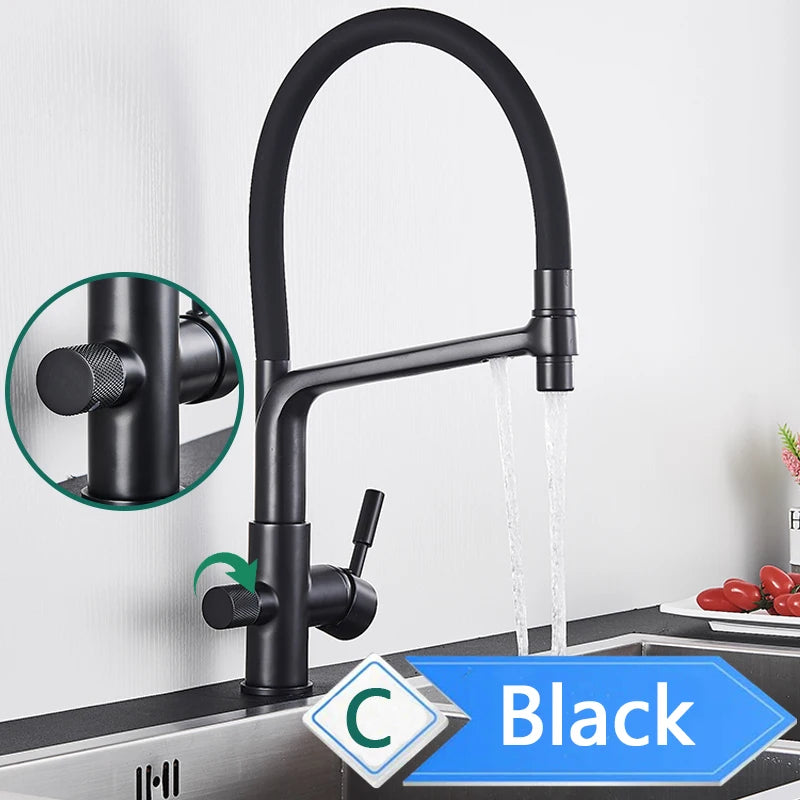 Water Purification Kitchen Faucet with Pull Out Sprayer - Black