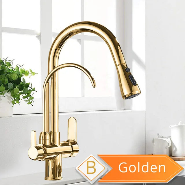 Water Purification Kitchen Faucet with Pull Out Sprayer - Black