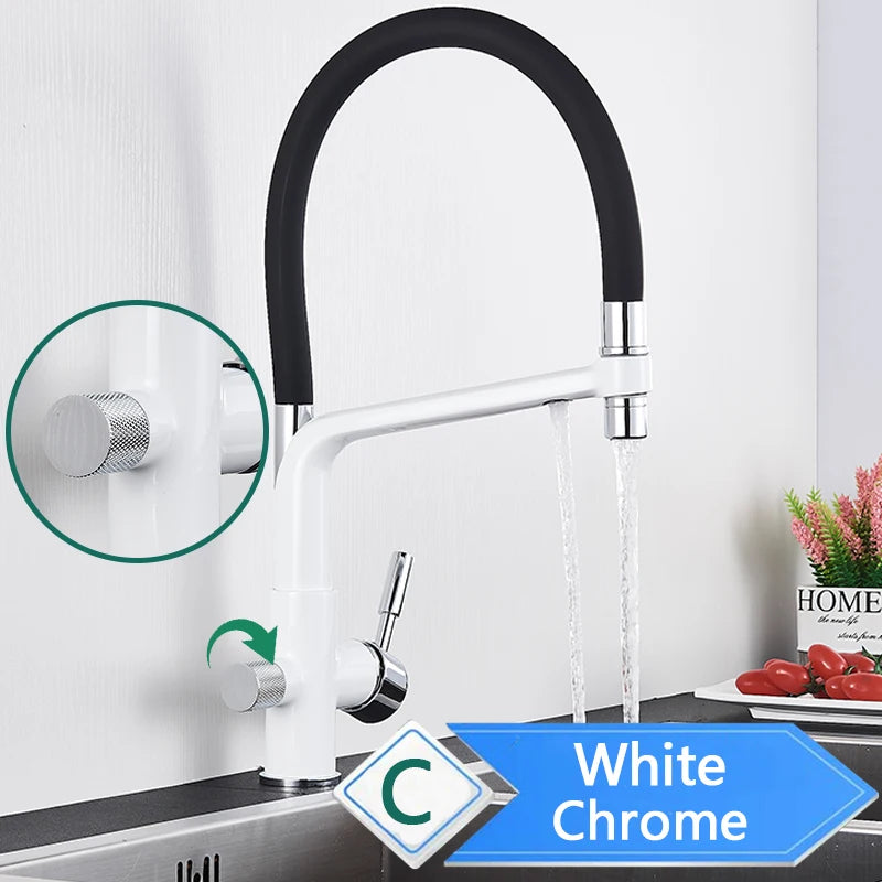 Water Purification Kitchen Faucet with Pull Out Sprayer - Black