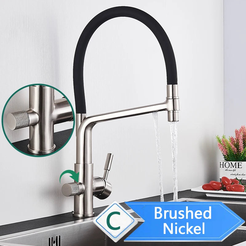 Water Purification Kitchen Faucet with Pull Out Sprayer - Black