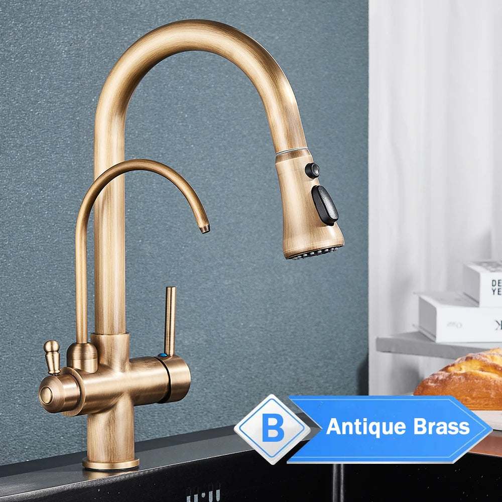 Water Purification Kitchen Faucet with Pull Out Sprayer - Black