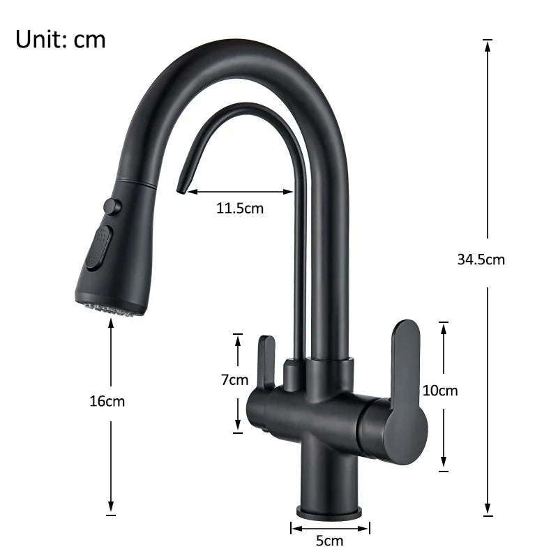Water Purification Kitchen Faucet with Pull Out Sprayer - Black