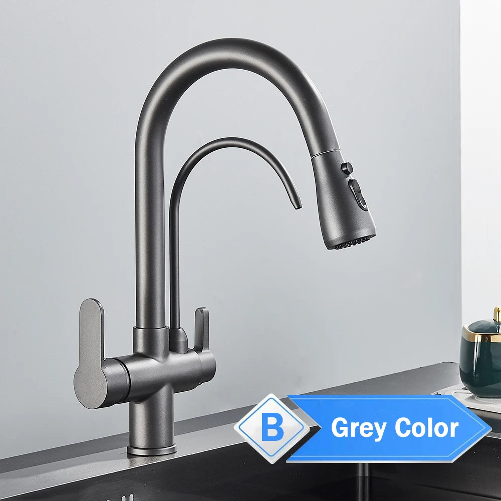 Water Purification Kitchen Faucet with Pull Out Sprayer - Black
