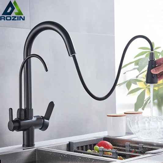 Water Purification Kitchen Faucet with Pull Out Sprayer - Black