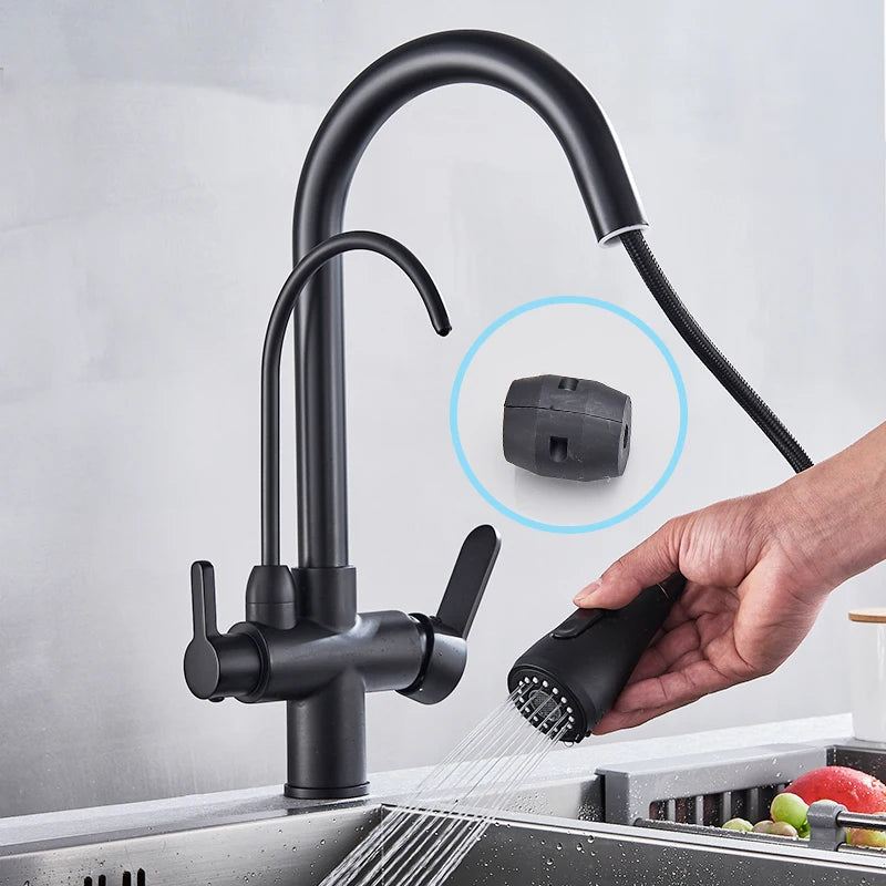 Water Purification Kitchen Faucet with Pull Out Sprayer - Black